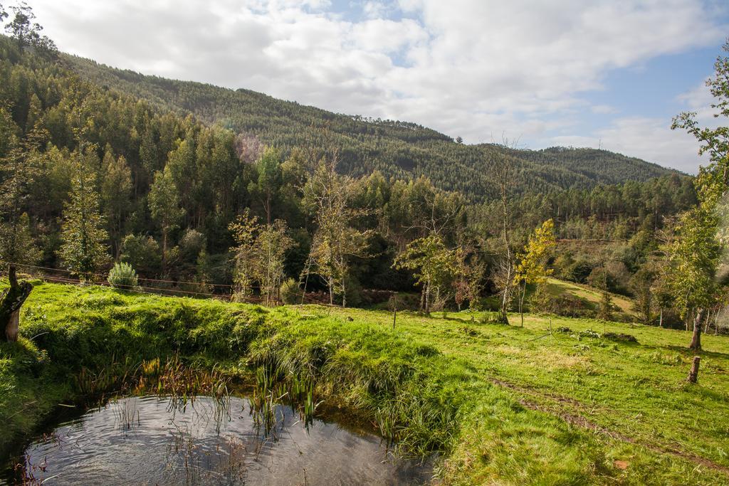 Casa De Campo "Quinta Do Cadafaz" Алваренга Екстериор снимка